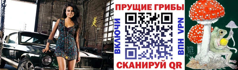 где найти   Каневская  Галлюциногенные грибы мицелий 